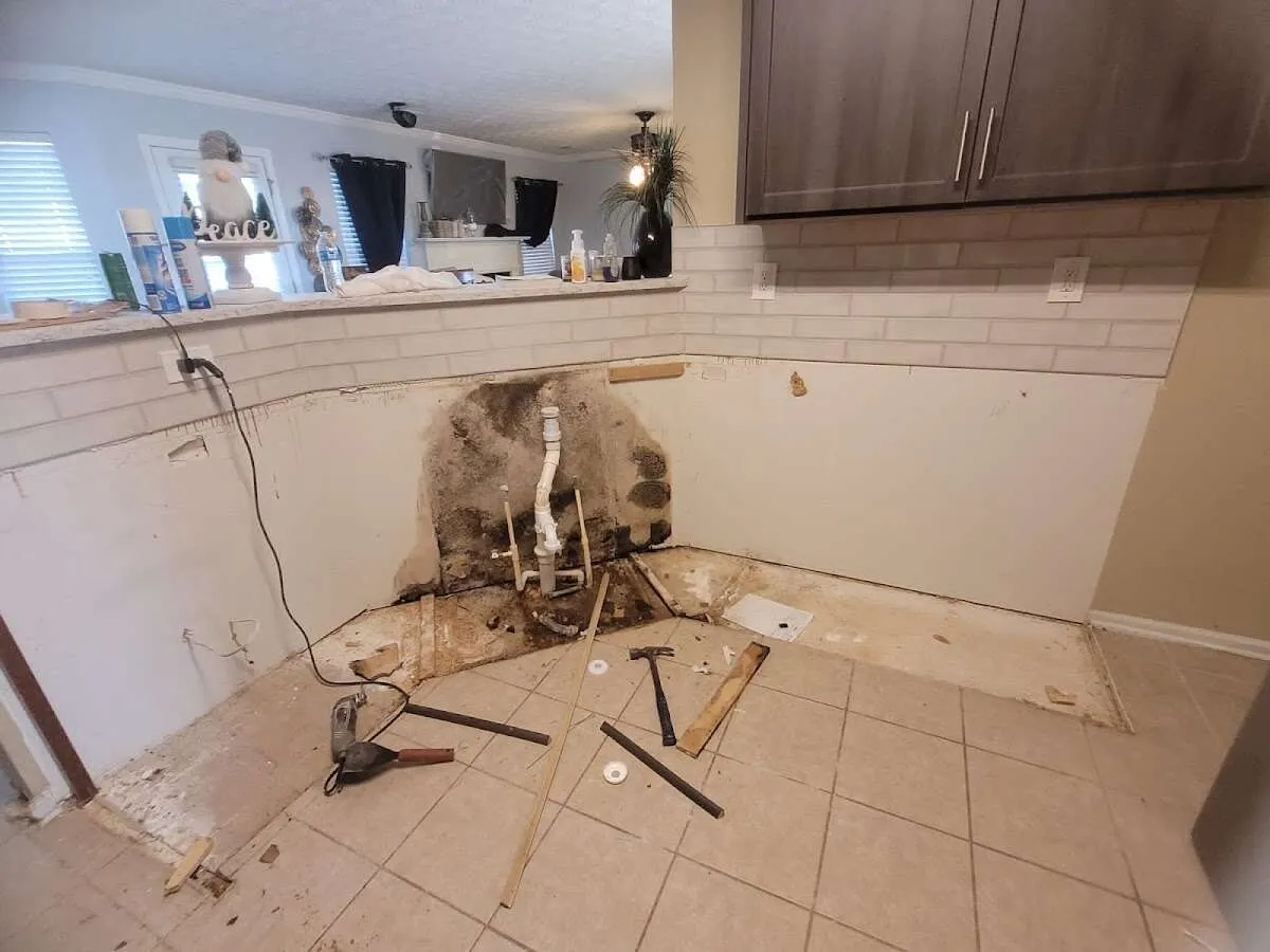 Mold behind wall with plumbing during Flood Damage Cleanup in Virginia Beach